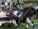 empty saddles & riderless horses empty saddles & riderless horses