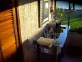 Casa en Tequesquitengo video 2