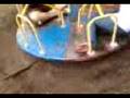 we spin