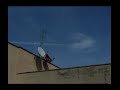 Kokoon57,2010,SCIE