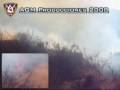 Incendio Forestal (Clave 2)