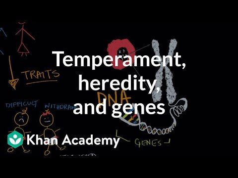 is personality behavior and temperament genetic Is personality, behavior, and temperament genetic or environmental the word attempt is critical when discussing the value of the coupling of genes and environment. is personality behavior and temperament genetic Is personality, behavior, and temperament genetic or environmental the word attempt is critical when discussing the value of the coupling of genes and environment.