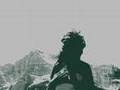 Sunlight on the Snow - The Jilted Brides