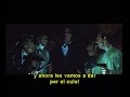 Acción Mutante Acción Mutante