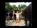 steve irwin tribute steve irwin tribute