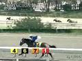 ARLINGTON PARK, 2008-07-20, Race 6