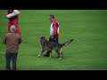 Preview video <strong> Vello vom Patscherkofel wm 2010</strong>