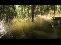 Voorbeeld filmpje Samsung Memory Cam HMX-E10 (2)