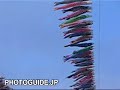 Sagamihara Koinobori carp streamers