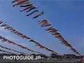 Sagamihara Koinobori carp streamers