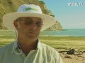 Delphin Moko rettet 2 gestrandete Wale in Mahia
