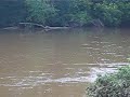 monocacy, 6.29.06