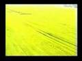 Dossiers Ovni 08 - Cercles Extraterrestres 6/6