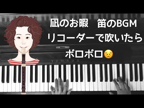 動画