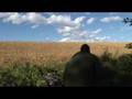Duejakt av Kristoffer Clausen, pigeon hunting