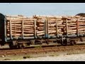 film Eco Man elevi clasa a 8-a Pascani