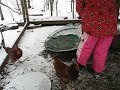 Winter care for poultry