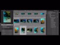 Marine Life Keyword List for Lightroom and Aperture