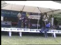 this is a version of catfish blues by a dayton ohio area blues band named midnight blue. it closely resembles jimi hendrix's version.
 http://www.myspace.com/ericmidnightblue