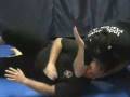 Harimau Minangkabau Baringin Sakti Pencak Silat