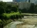 videos de Planta sn jeronimo