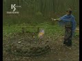 VFX cz.1