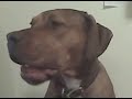 Rozko Whines Rozko Whines