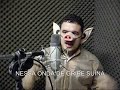ARANHA MANCA - GRIPE SUÍNA