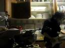 Musica-da-Cucina