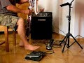 ODE TO A  CONTRA TOAD