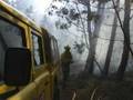 BRIF, Brigada Refuerzo Incendios Forestales