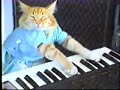 Keyboard Cat