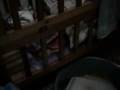 videos de sarah rose castillo 11