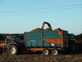 ensilage 2008 finistere