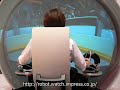 Halluc II Interno Controle(Original)