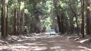 Road trip Australien, 1ère partie!