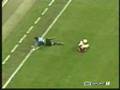 Marco Materazzi - faule