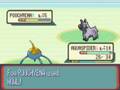 Surskit Only Run -Part 2- Route 102