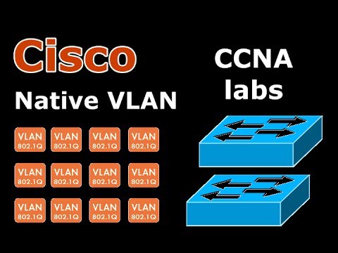 how to remove vlan from trunk port