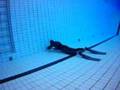 free diving pool