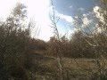 ΚΥΝΗΓΙ ΜΠΕΚΑΤΣΑΣ ΛΑΧΑΝΑΣ-ΙΝΔΙΑΝΟΣ ΣΕΡΡΕΣ