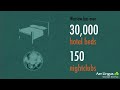 Click here to watch this video Aer Lingus Guide To This Summer's Football
