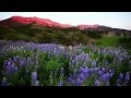 Venture Out - Summer in Telluride