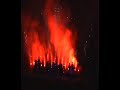 Massive Attack Dobro (new song) Paleo Festival 2008