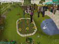 Crazy Ducks in Falador