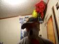 videos de Big Bad Supertone Wolf