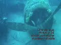Immersione sul relitto dell