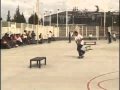PATINA BOARDSHOP EL REY DE LA RUTINA s