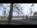 Snowbirds in Kingston View Video