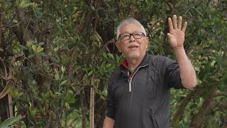 動画のサムネイル
